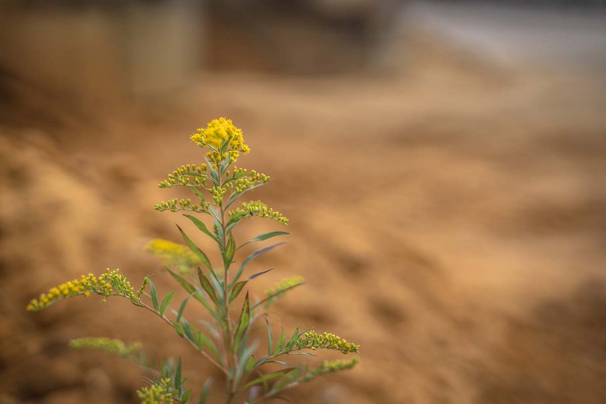 Unser grüner Entsorgungshof